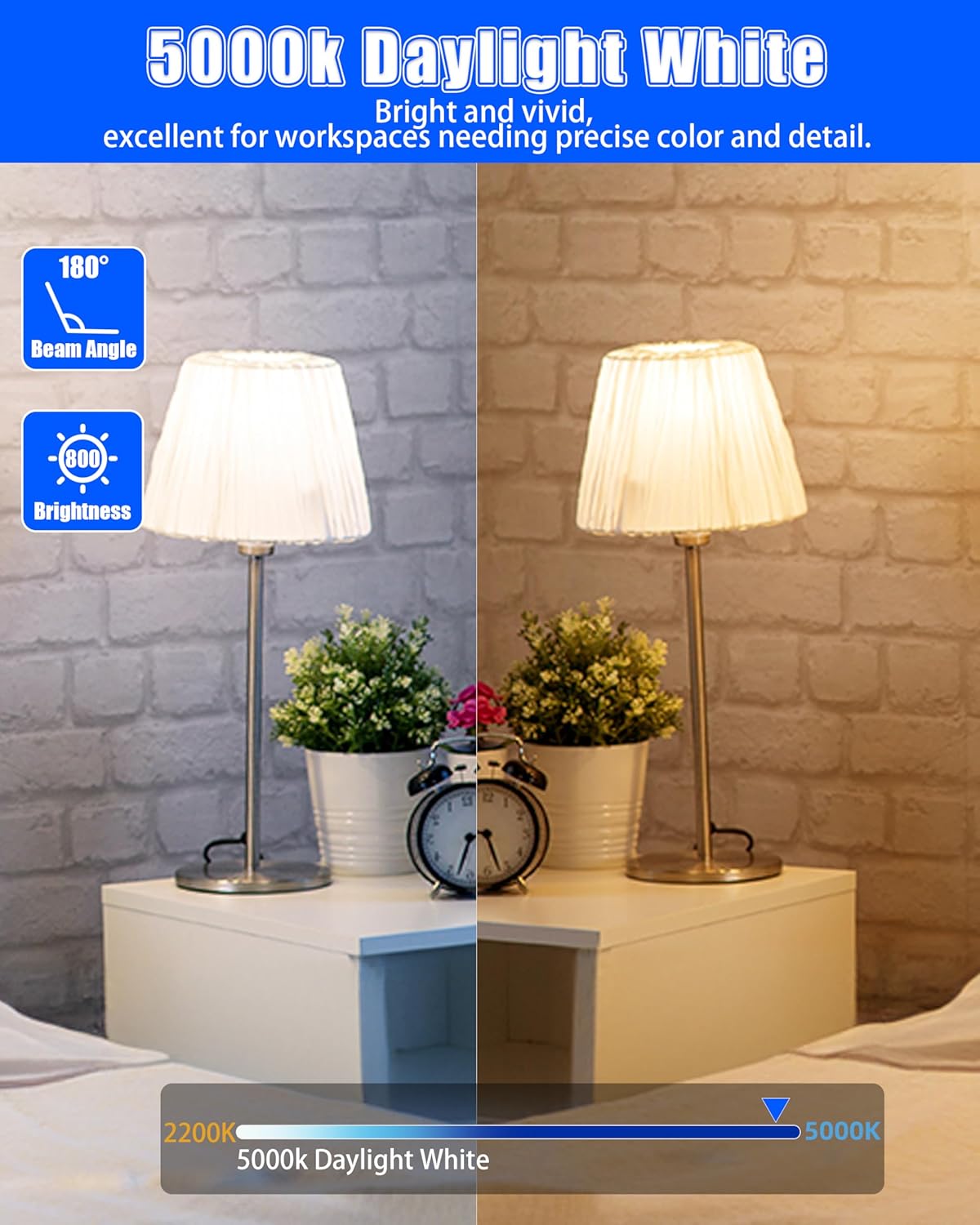 Mastery Mart A19 LED Bulbs 60 Watt Equivalent, 9W Non-Dimmable, Flicker-Free, 800 Lumens, Daylight White 5000K, E26 Base, 10000 Hours, Energy Saving Certificated, Bedroom, 12 Pack